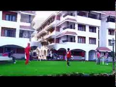 Cricket Play Balls Suppliers in Tamilnadu